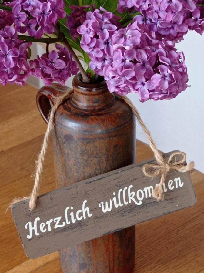 לנסטאט Ferienwohnung Sauerland Burgfenster מראה חיצוני תמונה